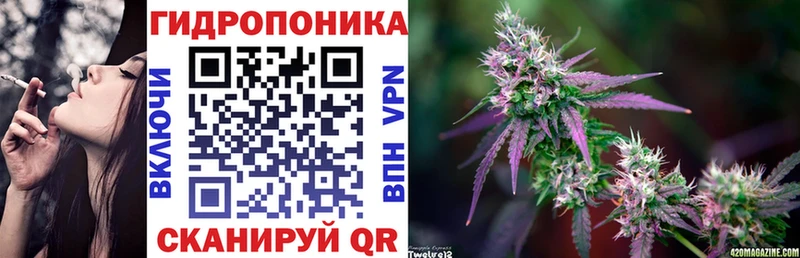 Купить  Хасавюрт  Каннабис OG Kush 